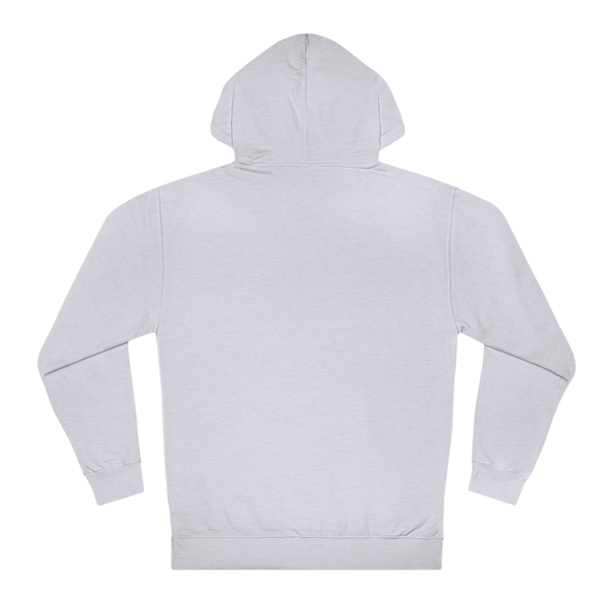 DOTTYHACK HOOLIGAN HOODIE